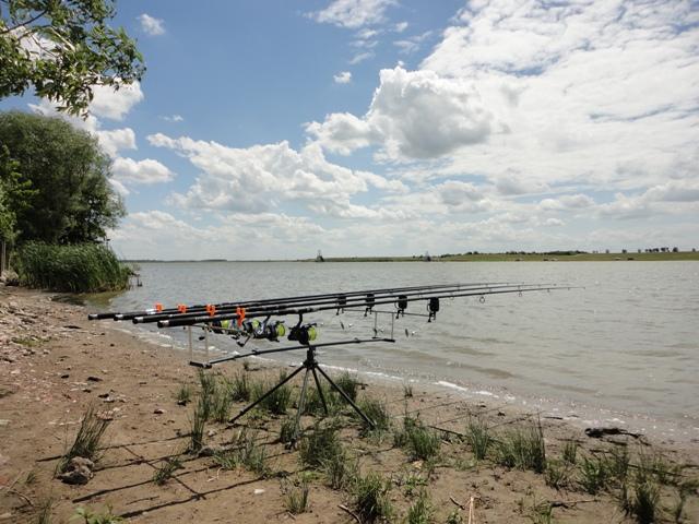 diverse - dsc09644.JPG